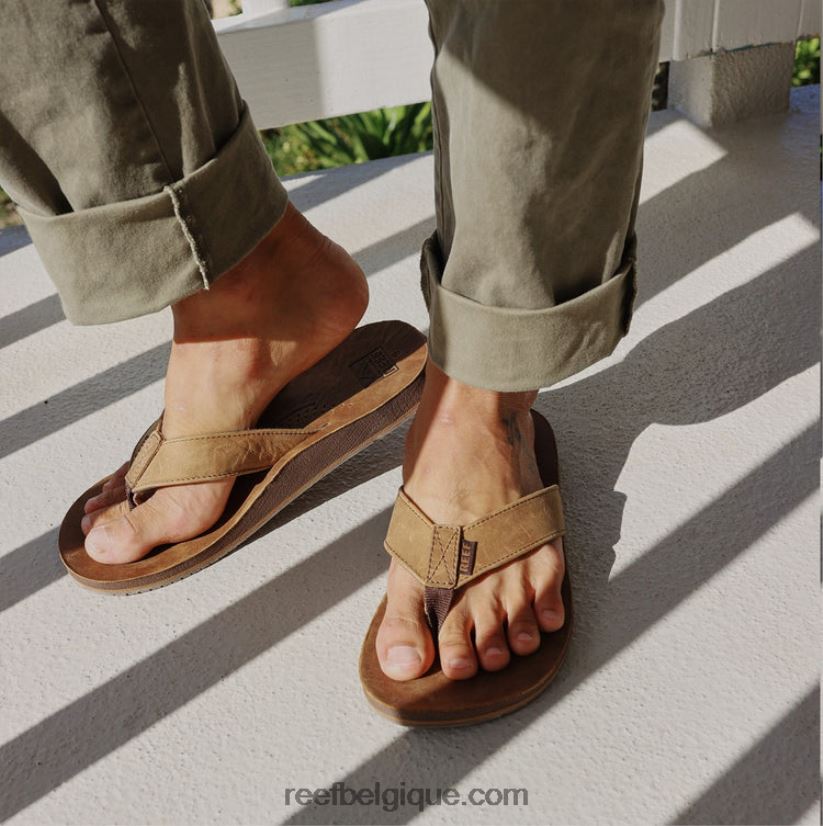 Hommesbrun dérive de récif classique 2H4Z0V334