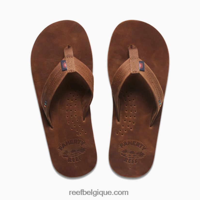 Hommesbrun faherty faherty x dessinateurs de récifs 2H4Z0V311