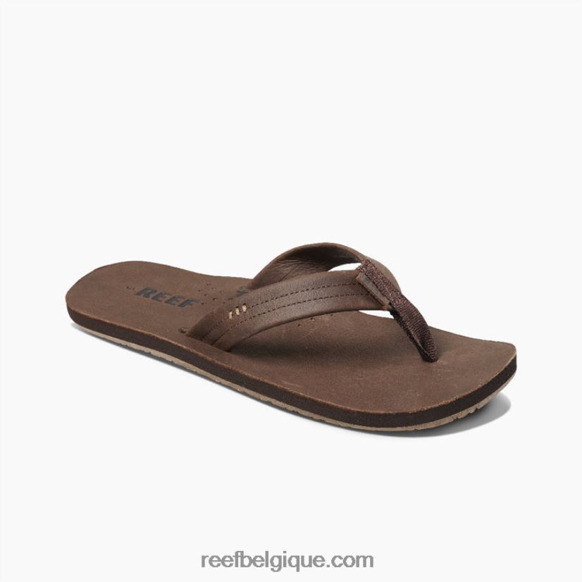 Hommeschocolat dessinateurs de récifs 2H4Z0V350