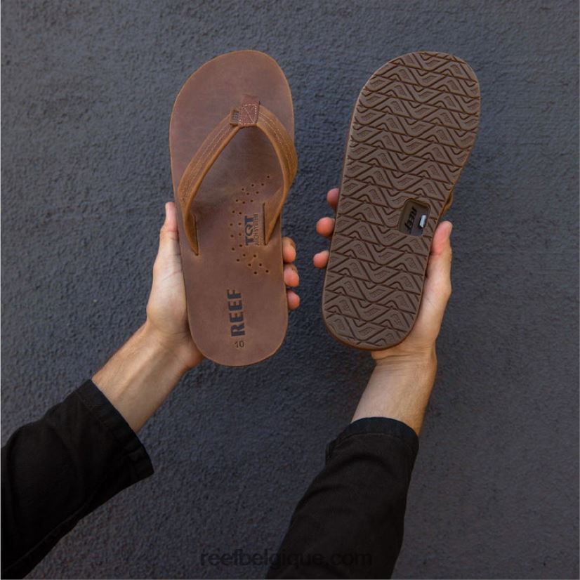 Hommeschocolat dessinateurs de récifs 2H4Z0V350