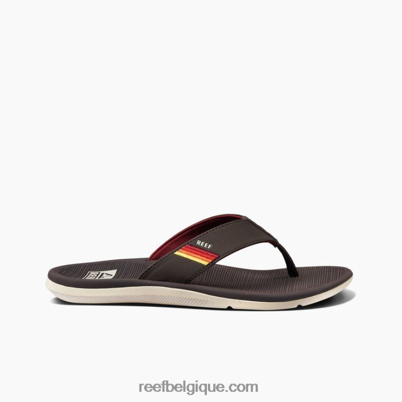 Hommescoucher de soleil brun vintage récif santa ana 2H4Z0V309