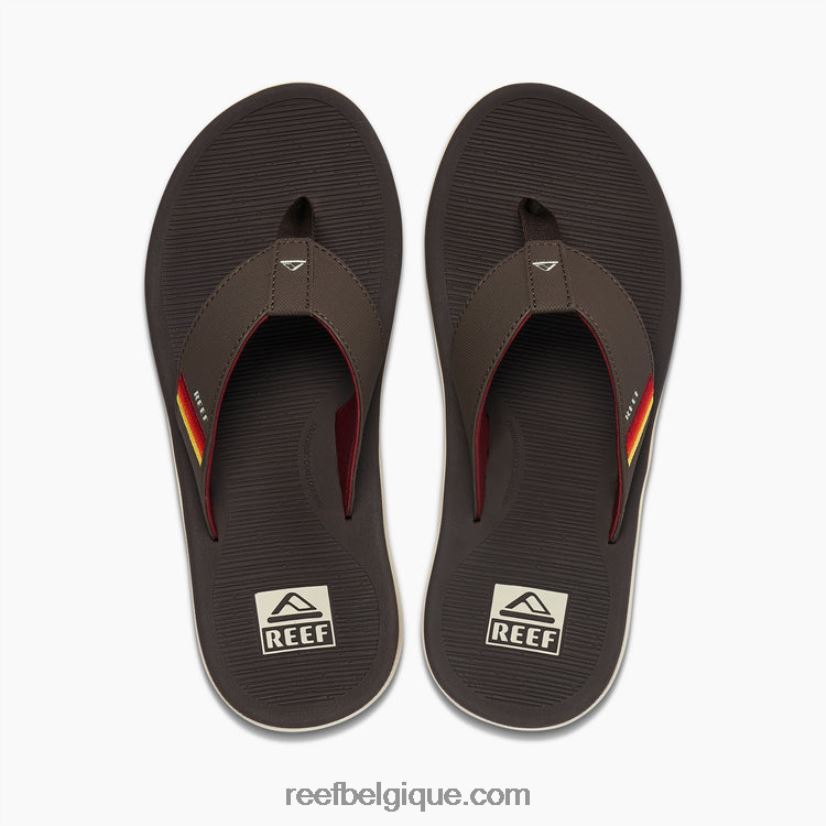 Hommescoucher de soleil brun vintage récif santa ana 2H4Z0V309