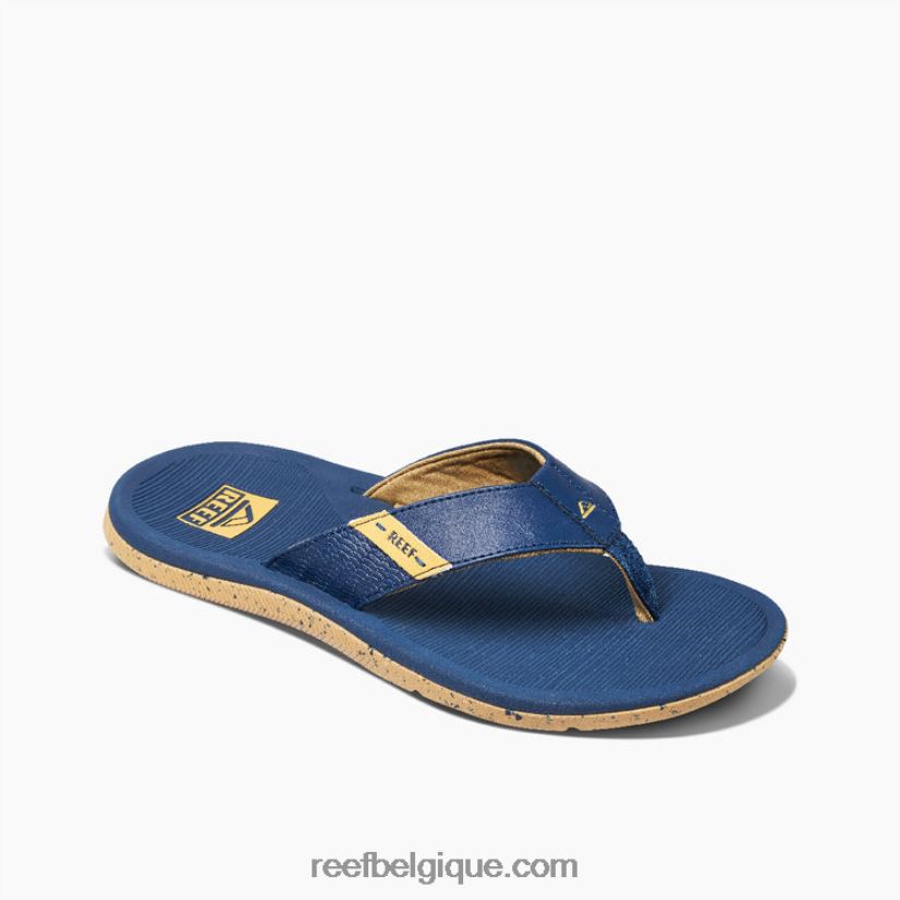 Hommesfeu récif santa ana 2H4Z0V474