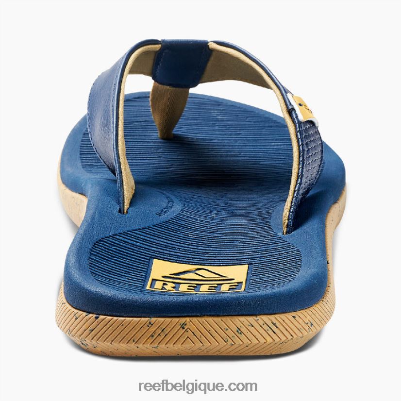 Hommesfeu récif santa ana 2H4Z0V474