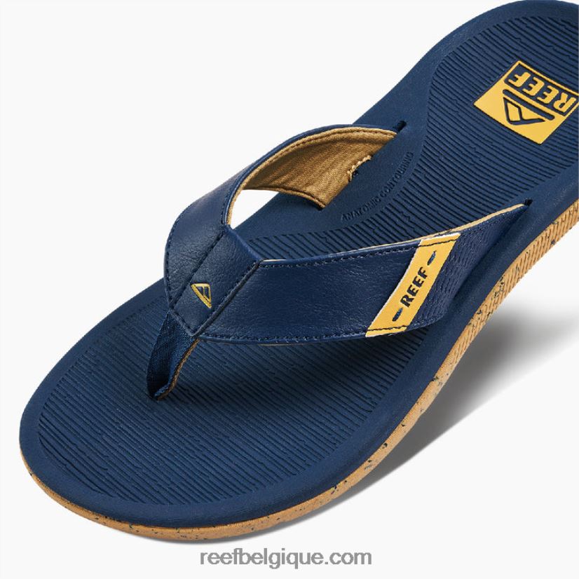 Hommesfeu récif santa ana 2H4Z0V474