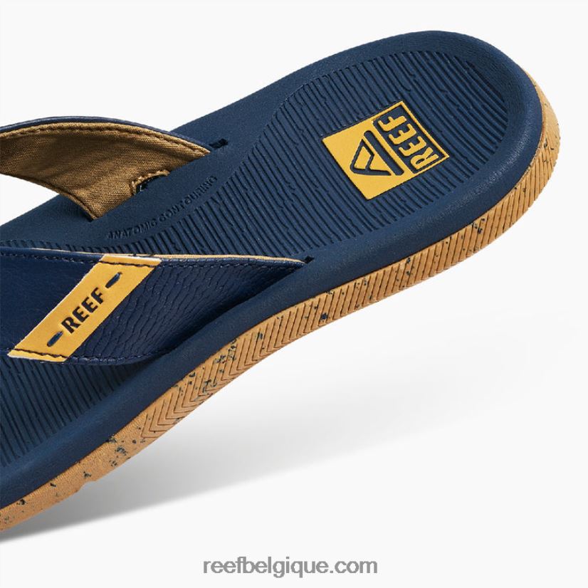 Hommesfeu récif santa ana 2H4Z0V474