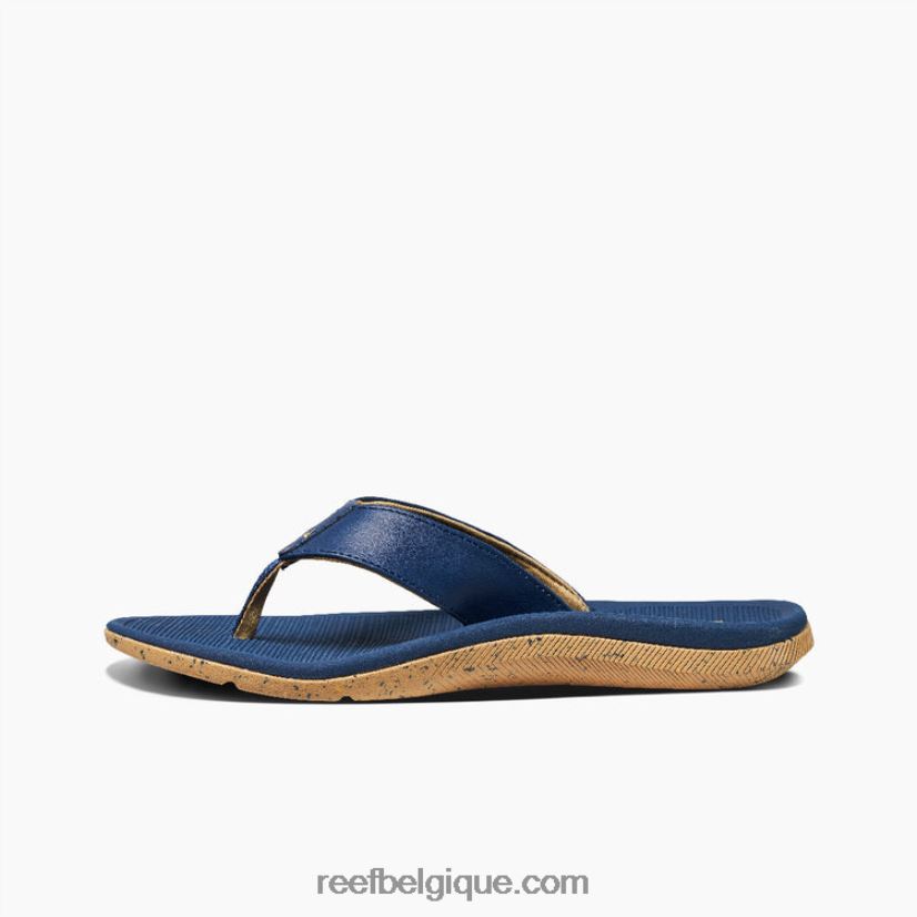 Hommesfeu récif santa ana 2H4Z0V474