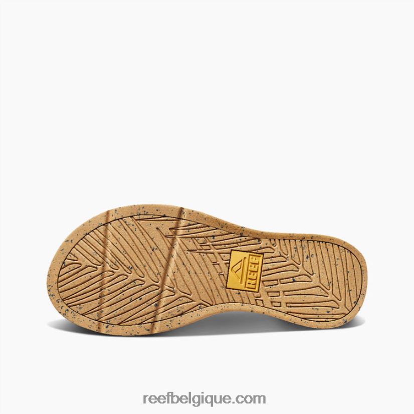 Hommesfeu récif santa ana 2H4Z0V474