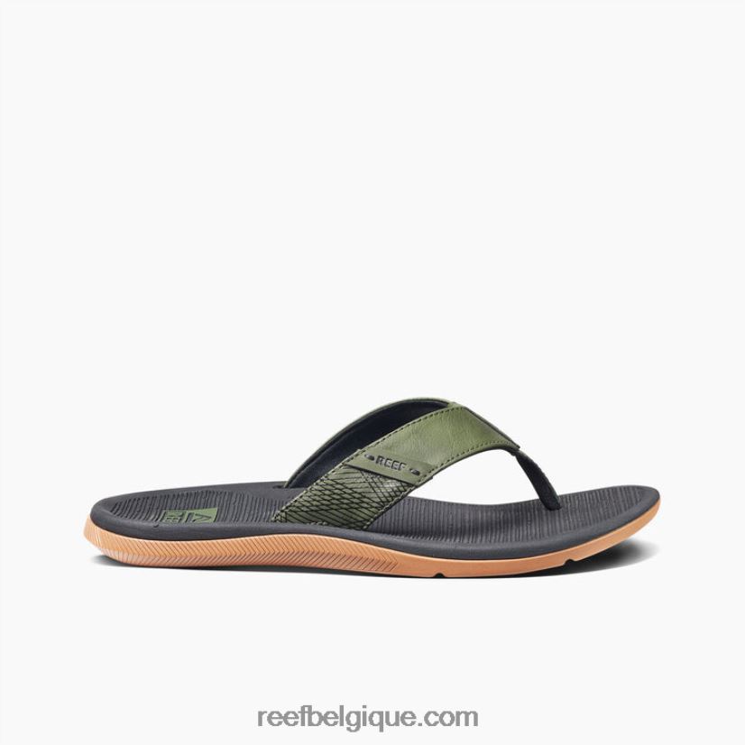 Hommesgéo olive/gomme récif santa ana 2H4Z0V472