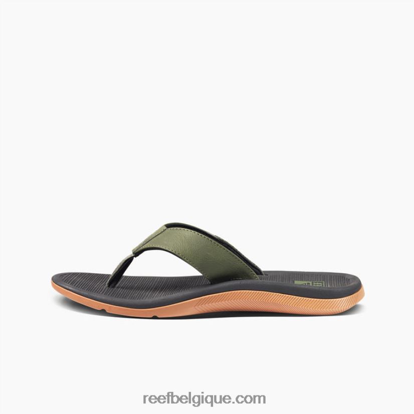 Hommesgéo olive/gomme récif santa ana 2H4Z0V472