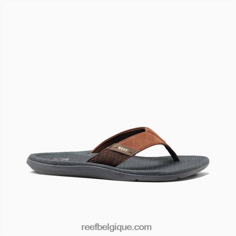 Hommesgris/beige récif santa ana 2H4Z0V320