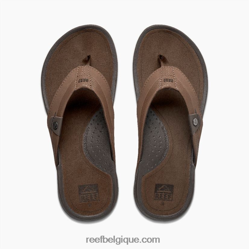 Hommesle tabac récif pacifique 2H4Z0V397