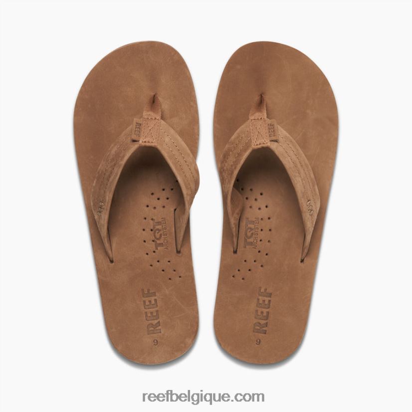 Hommesmarron classique dessinateurs de récifs 2H4Z0V337