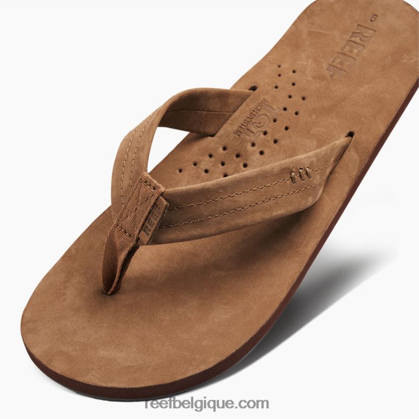 Hommesmarron classique dessinateurs de récifs 2H4Z0V337