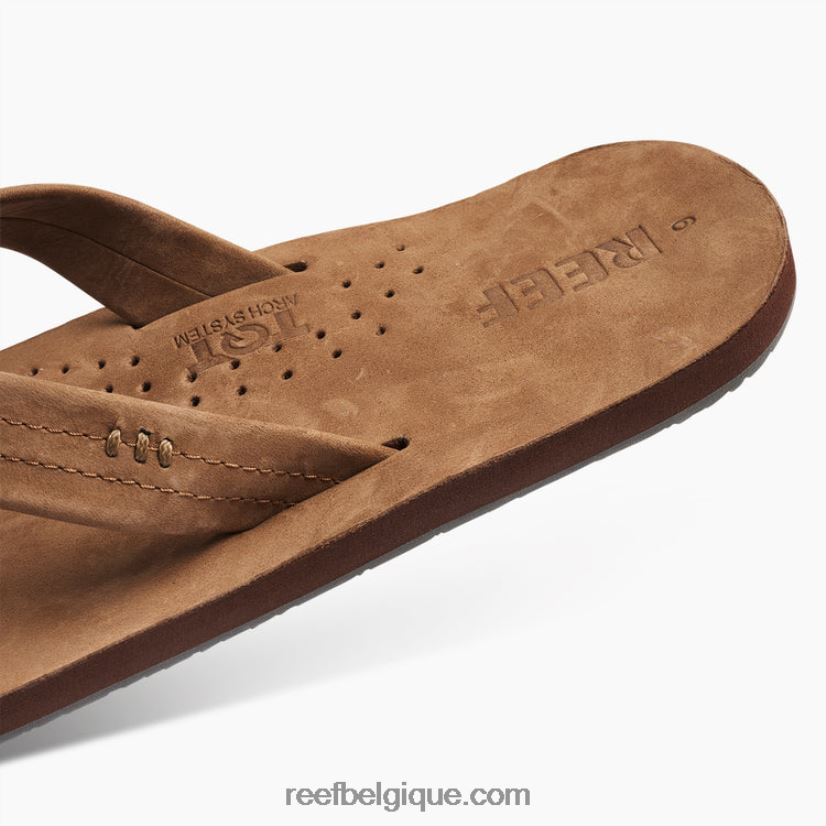 Hommesmarron classique dessinateurs de récifs 2H4Z0V337