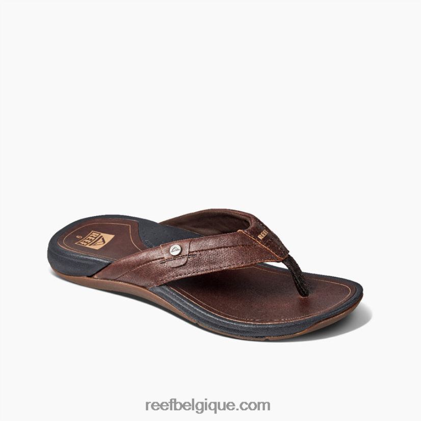 Hommesmarron foncé cuir récif pacifique 2H4Z0V363