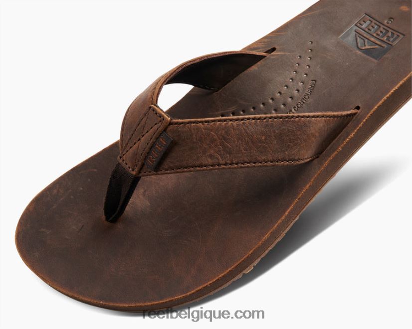 Hommesmarron foncé dérive de récif classique 2H4Z0V368