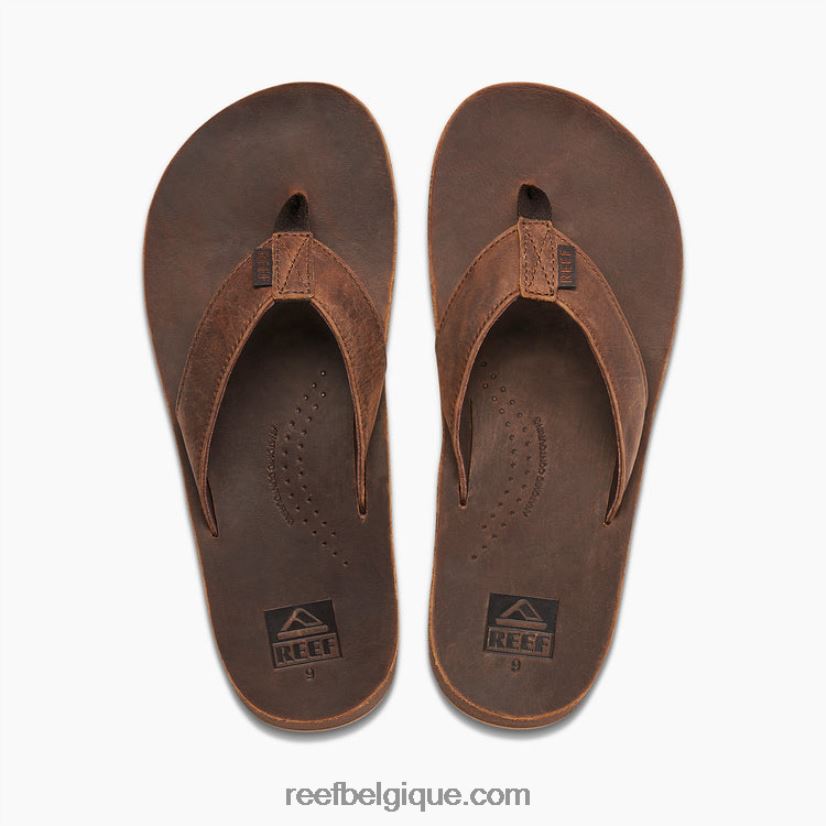 Hommesmarron foncé dérive de récif classique 2H4Z0V368