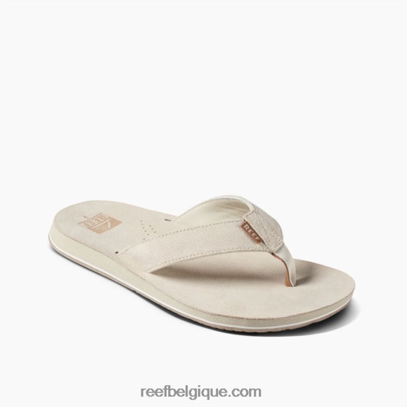 Hommesos dérive de récif classique 2H4Z0V405