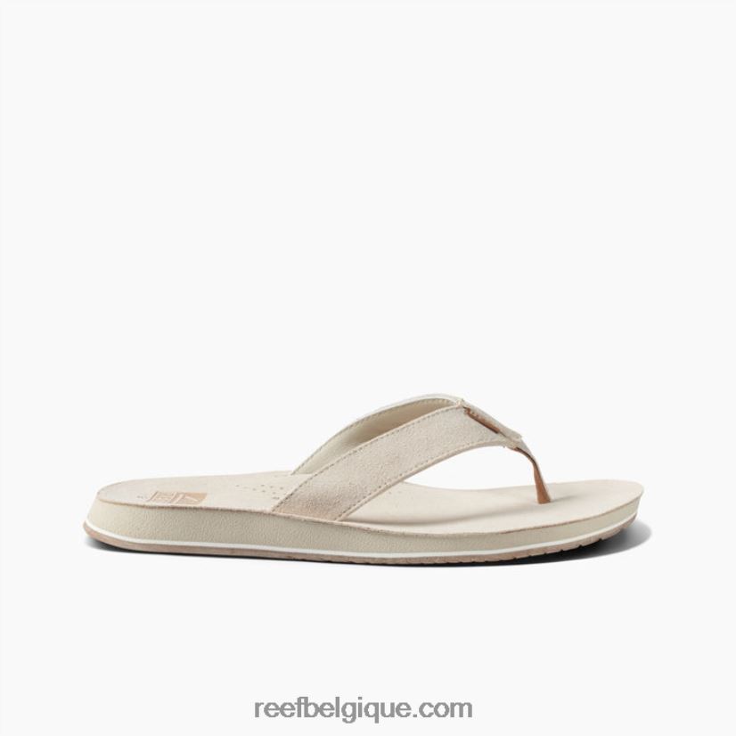 Hommesos dérive de récif classique 2H4Z0V405