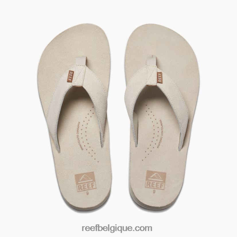 Hommesos dérive de récif classique 2H4Z0V405