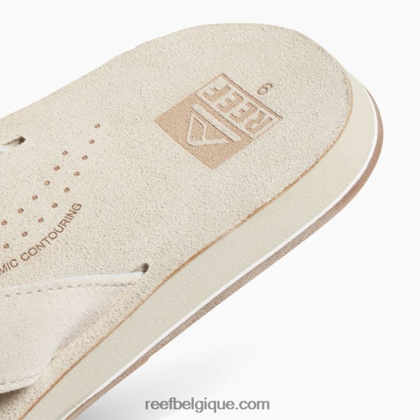 Hommesos dérive de récif classique 2H4Z0V405