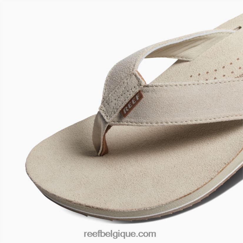 Hommesos dérive de récif classique 2H4Z0V405