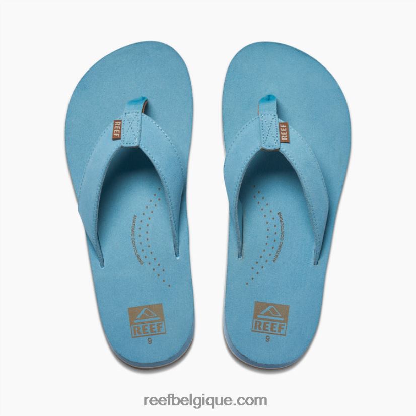 Hommespoudre bleue dérive de récif classique 2H4Z0V400