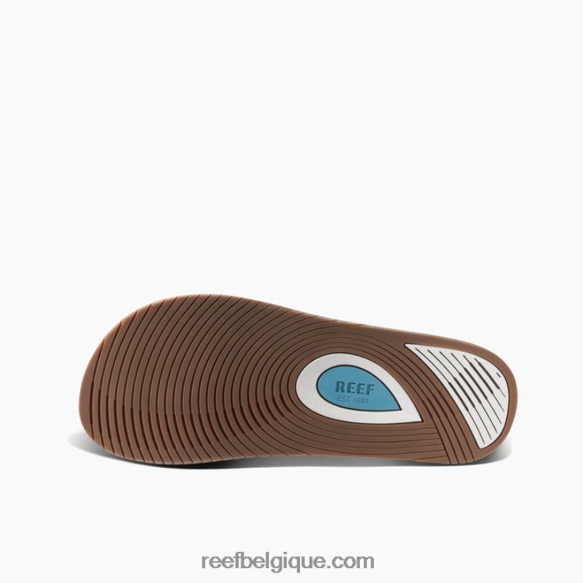 Hommespoudre bleue dérive de récif classique 2H4Z0V400