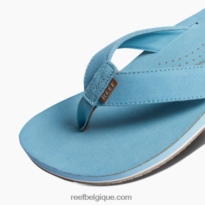 Hommespoudre bleue dérive de récif classique 2H4Z0V400