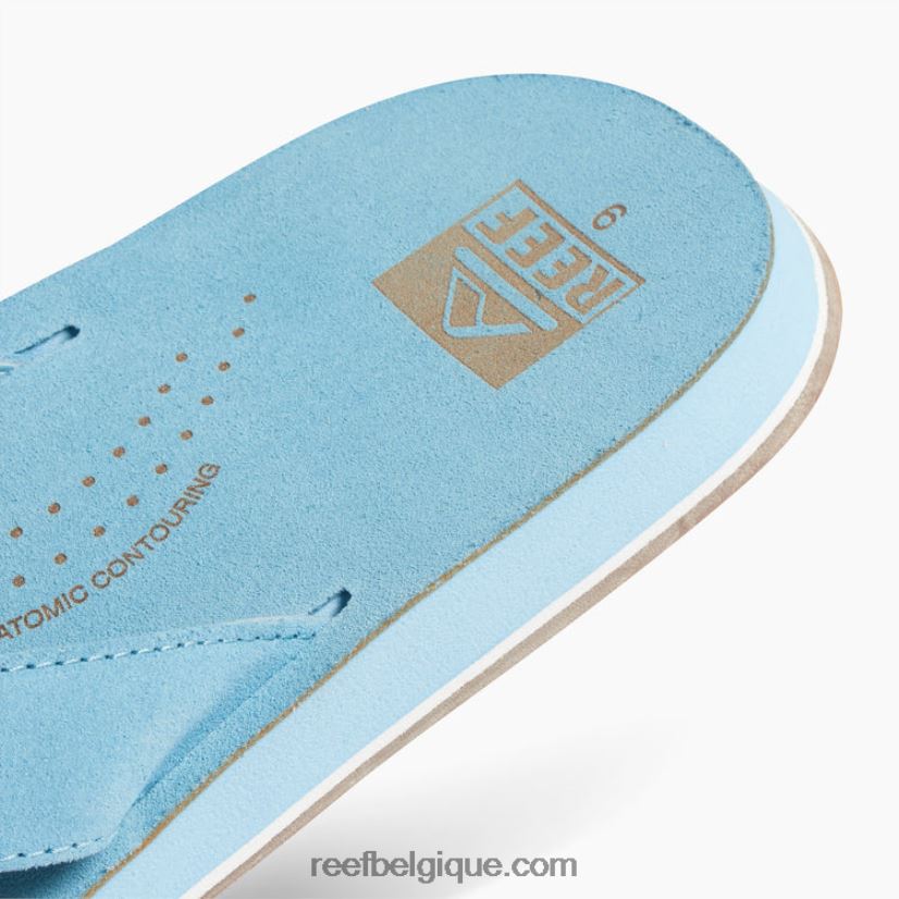 Hommespoudre bleue dérive de récif classique 2H4Z0V400