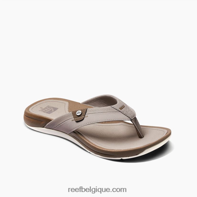 Hommestaupe/fossile récif pacifique 2H4Z0V384