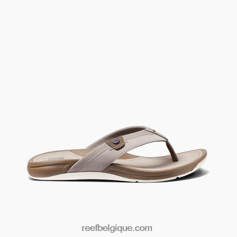 Hommestaupe/fossile récif pacifique 2H4Z0V384