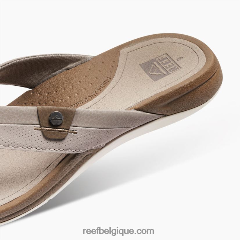 Hommestaupe/fossile récif pacifique 2H4Z0V384