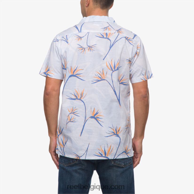 Hommes Reef blanc brillant chemise à manches courtes farley 2H4Z0V647
