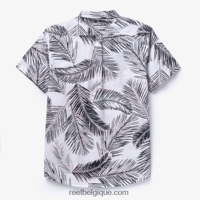 Hommes Reef guimauve chemise à manches courtes daintree 2H4Z0V636