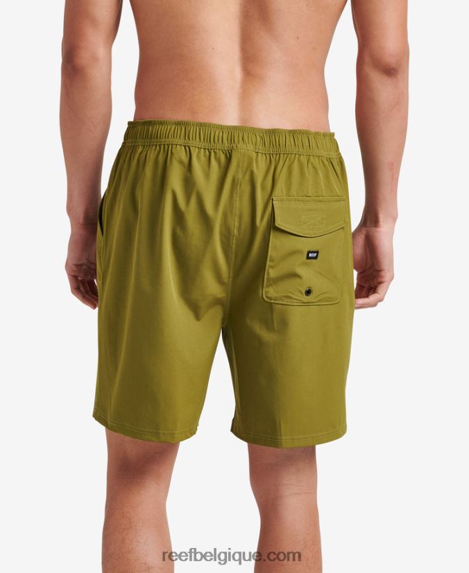 Hommes Reef avocat planche jackson courte 17