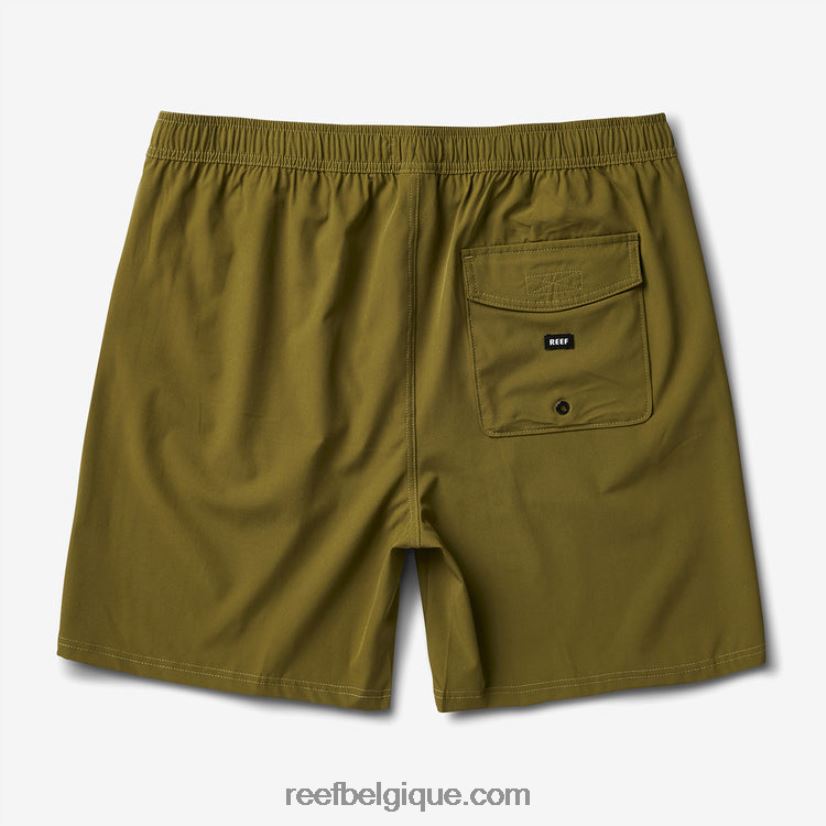 Hommes Reef avocat planche jackson courte 17