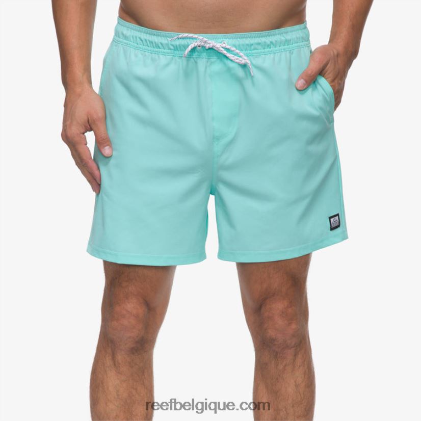 Hommes Reef bleu aruba short de planche à taille élastique marzo 16" 2H4Z0V689