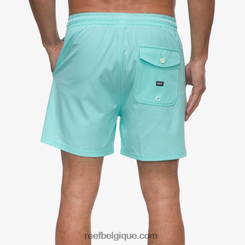 Hommes Reef bleu aruba short de planche à taille élastique marzo 16
