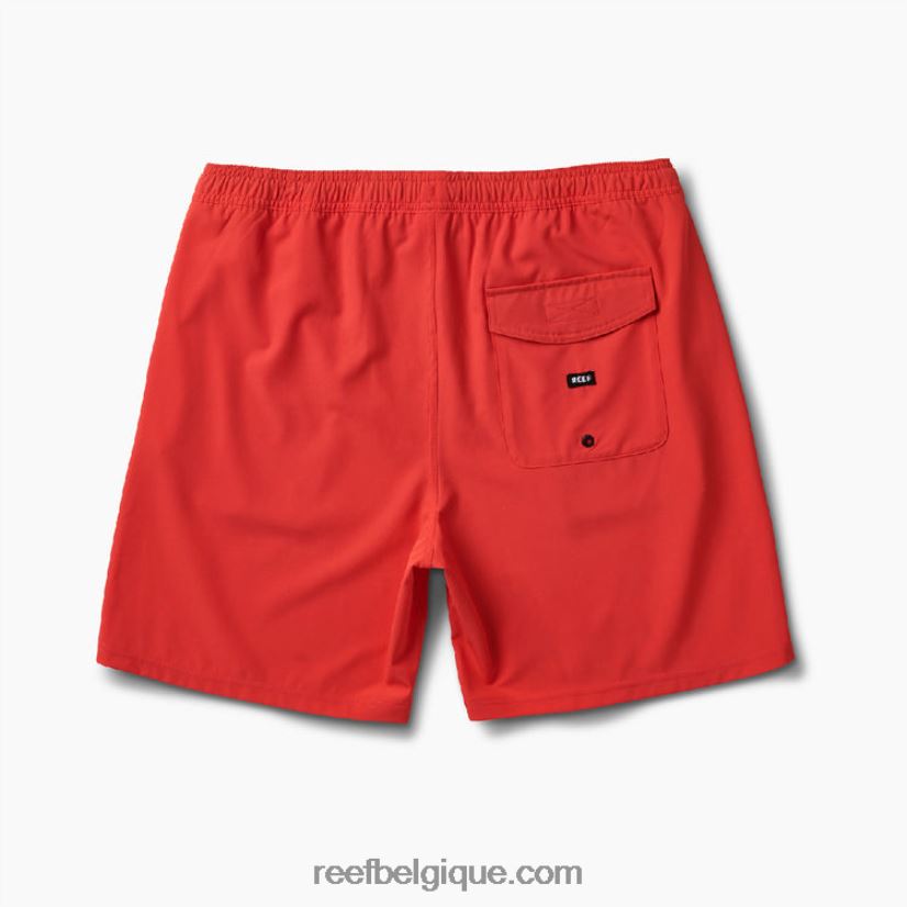 Hommes Reef hibiscus planche jackson courte 17