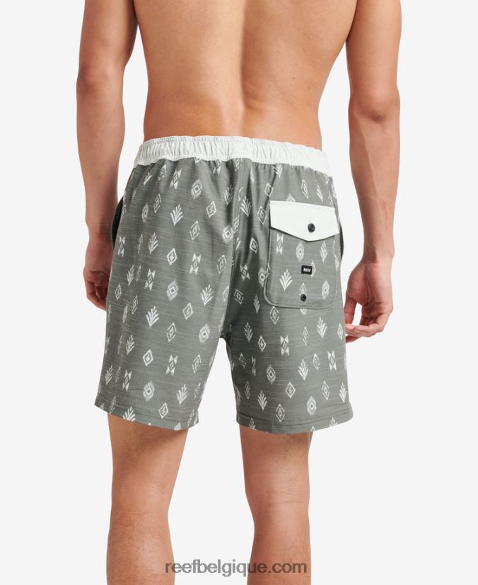 Hommes Reef thym billy volley short 17