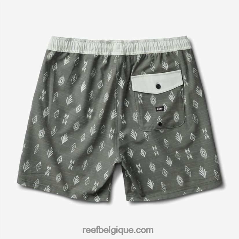 Hommes Reef thym billy volley short 17