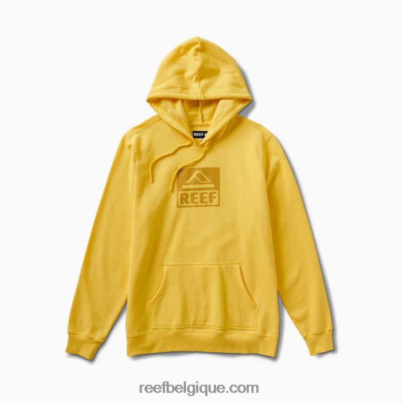 Hommes Reef jaune primevère pull à capuche basique 2H4Z0V736