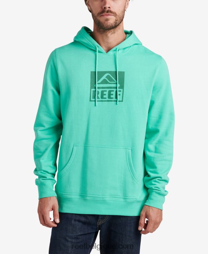 Hommes Reef vert électrique pull à capuche basique 2H4Z0V738