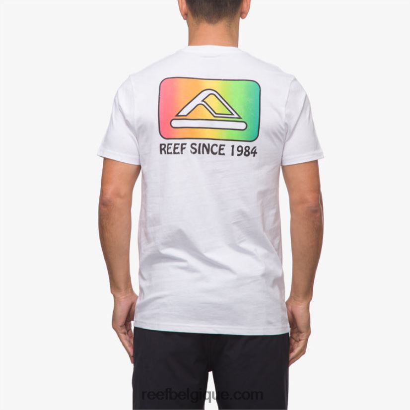 Hommes Reef blanc brillant cardwick t-shirt à manches courtes 2H4Z0V570