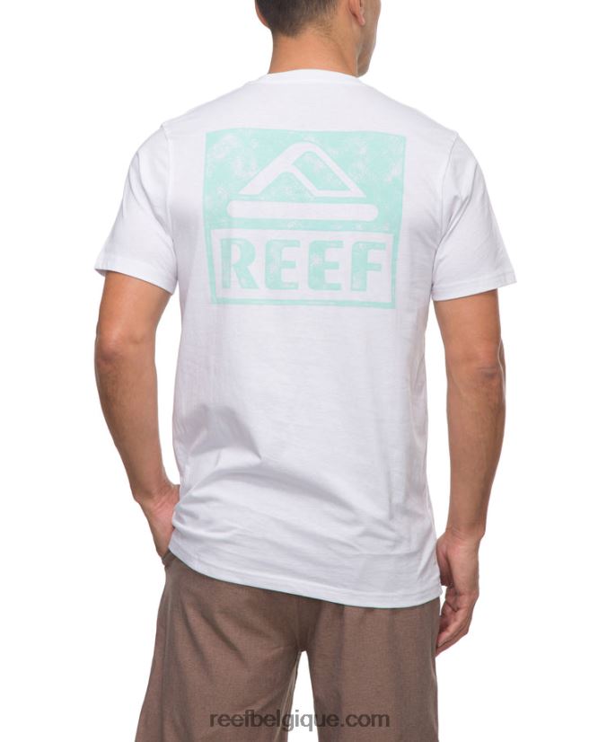 Hommes Reef blanc brillant t-shirt à manches courtes wellie 2H4Z0V560