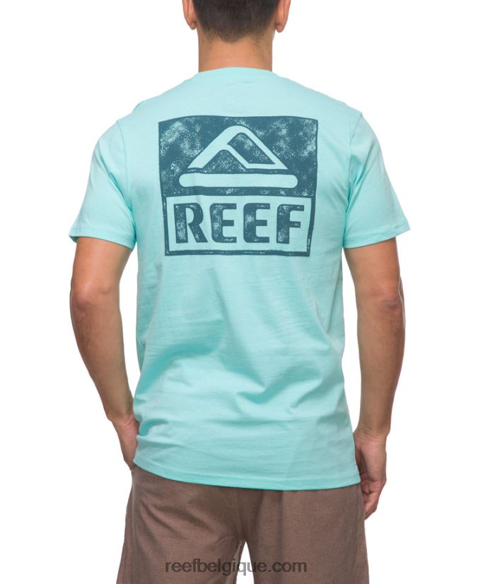 Hommes Reef bleu aruba t-shirt à manches courtes wellie 2H4Z0V578