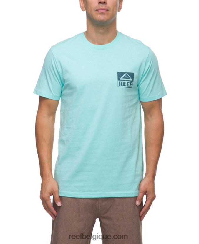 Hommes Reef bleu aruba t-shirt à manches courtes wellie 2H4Z0V578