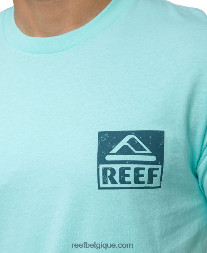 Hommes Reef bleu aruba t-shirt à manches courtes wellie 2H4Z0V578